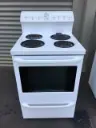Fisher and Paykel Thyme Fan Operated stove
